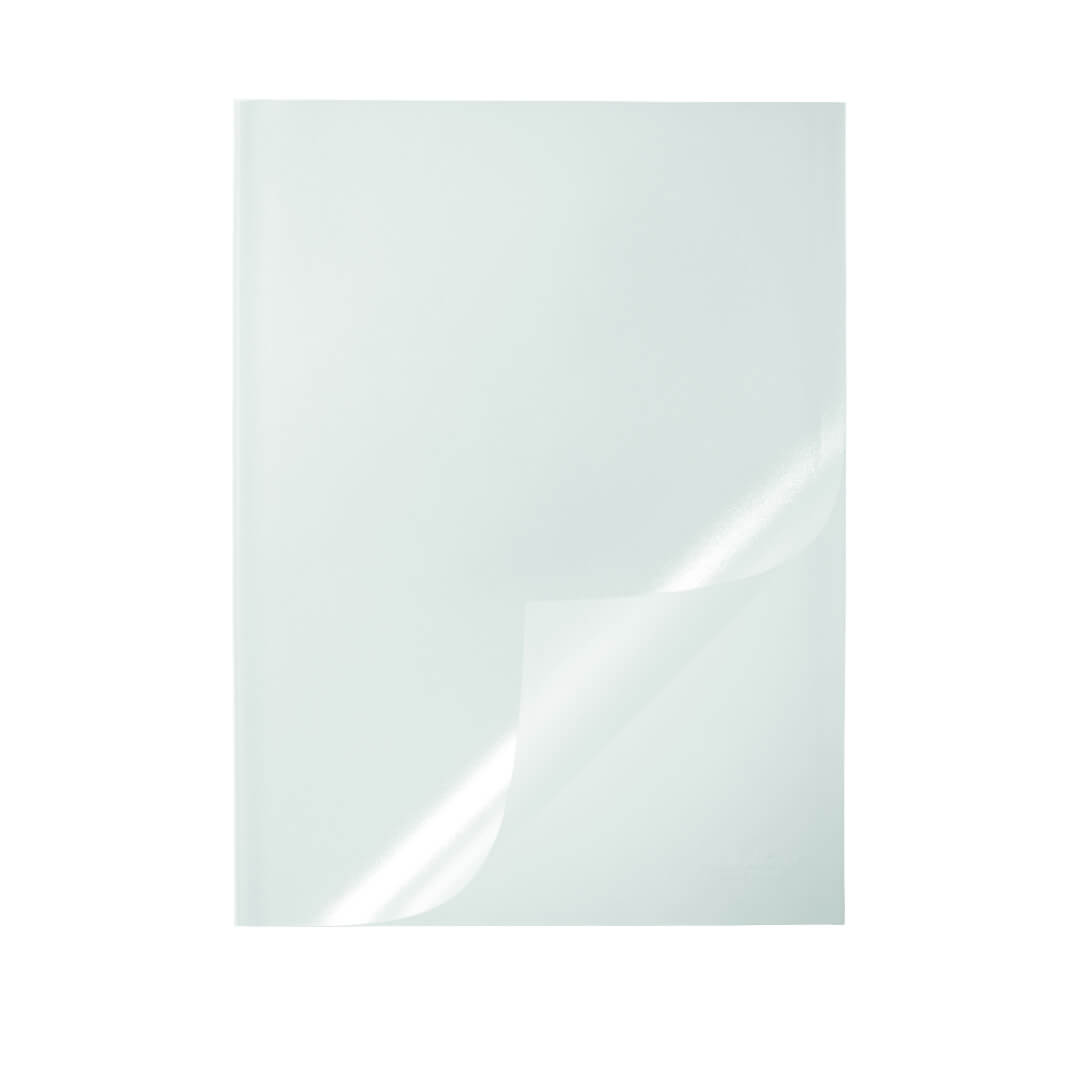 Carpeta Durable 2919 transparente