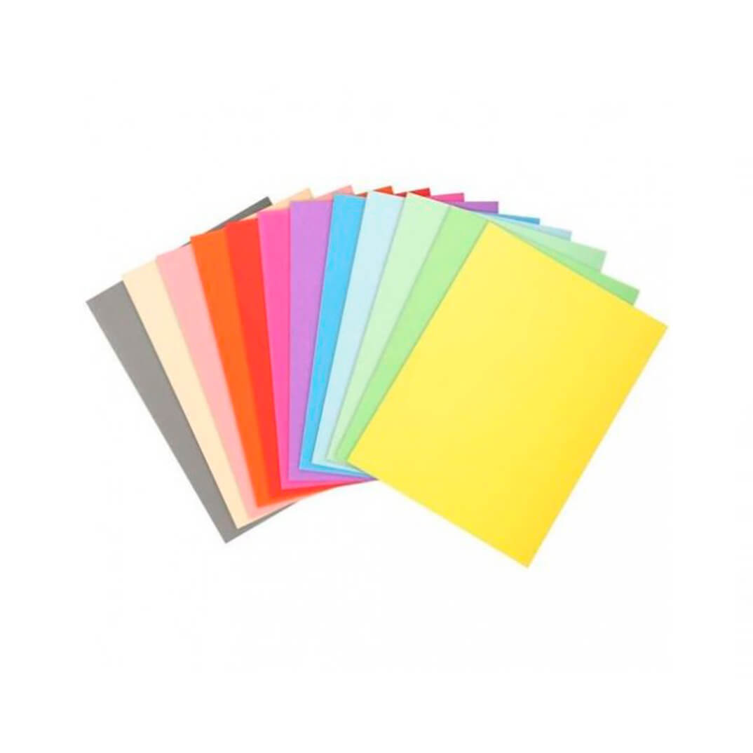 Pack 100 subcarpetas A4 170g Exacompta surtidos