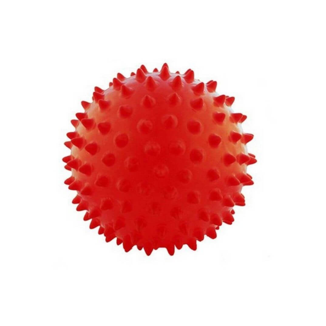 Pilota rugosa 7,5 cm