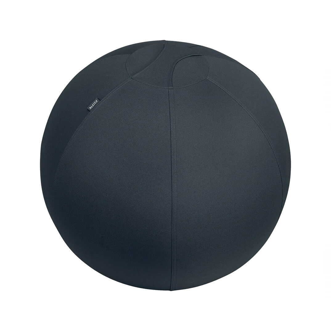 Pilota de seient antilliscant Leitz Ergo Active