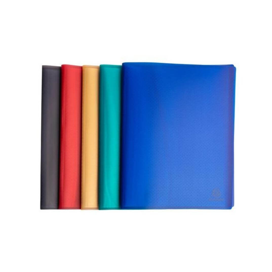 Carpetes de 30 fundes reciclades A4 Assortits