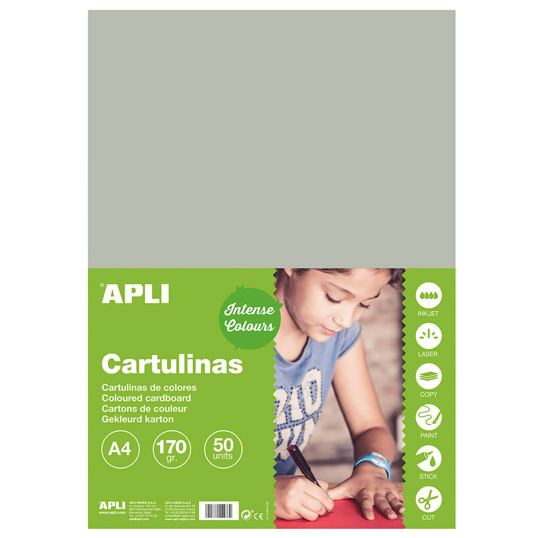 Pack 50 cartulinas A4 170g gris