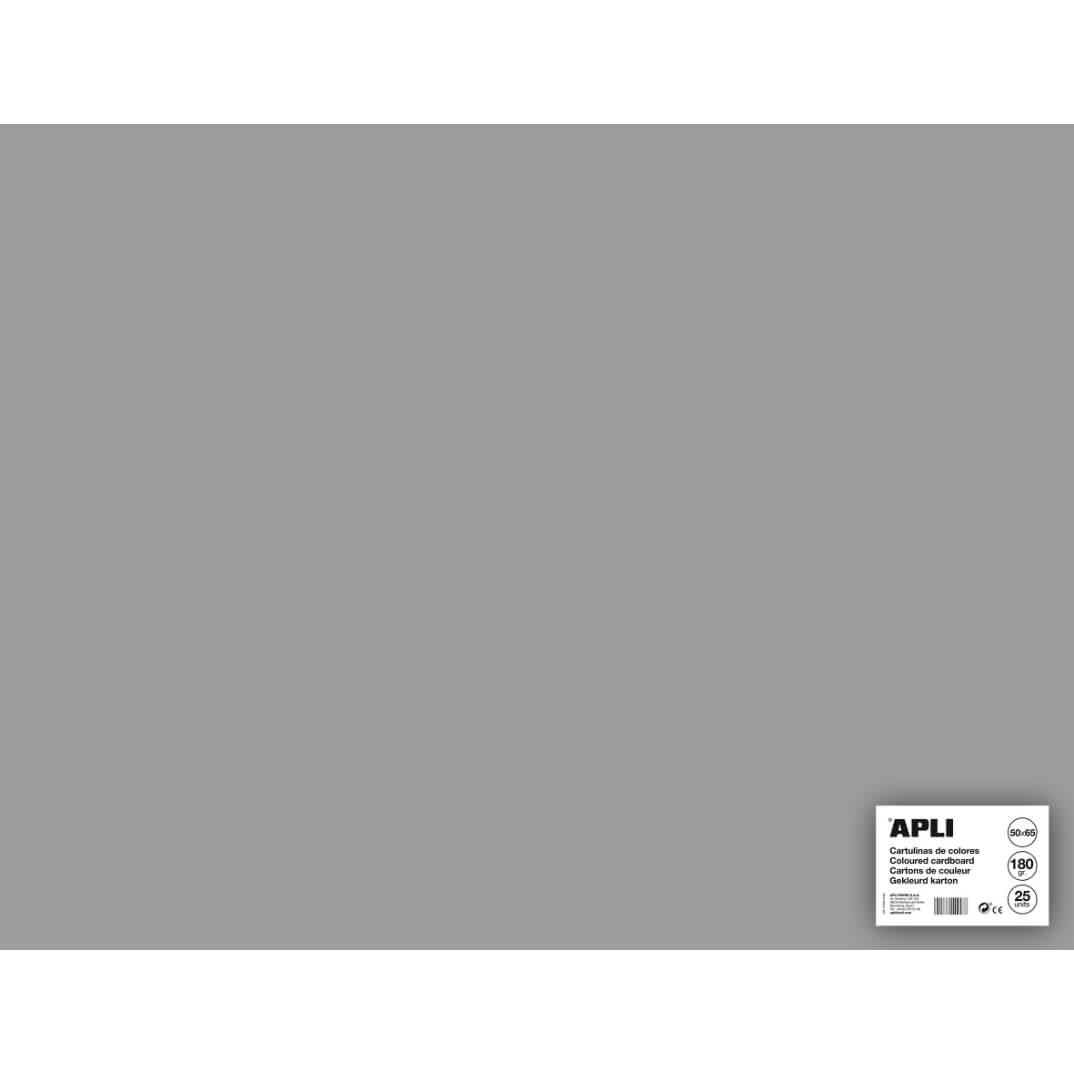 Cartolina 50x65 170g gris (pack 25)
