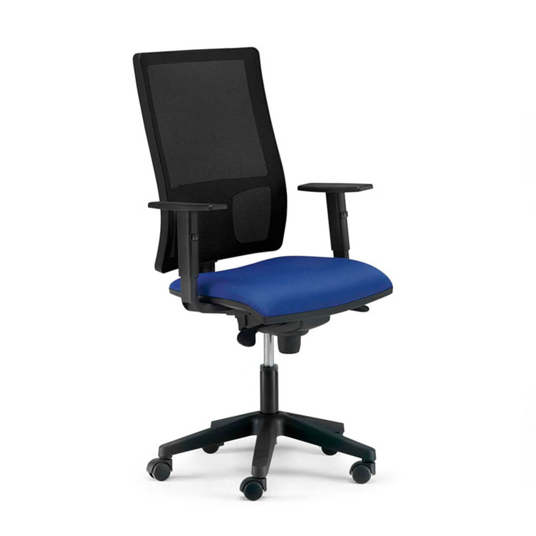 Silla PASSION con resplado y brazos regulables 1D