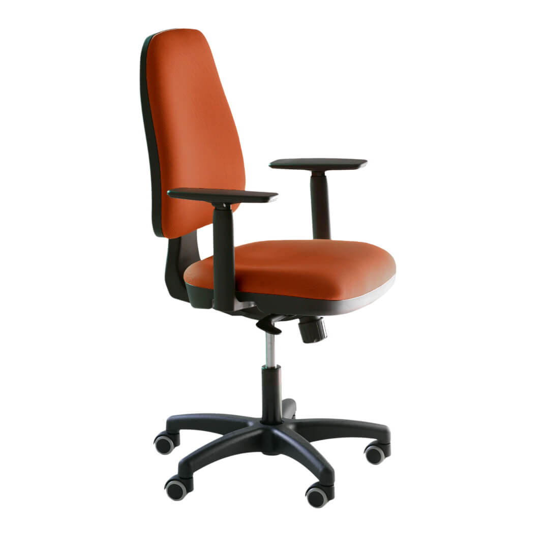 Silla PROTOS con ruedas y brazos regulables