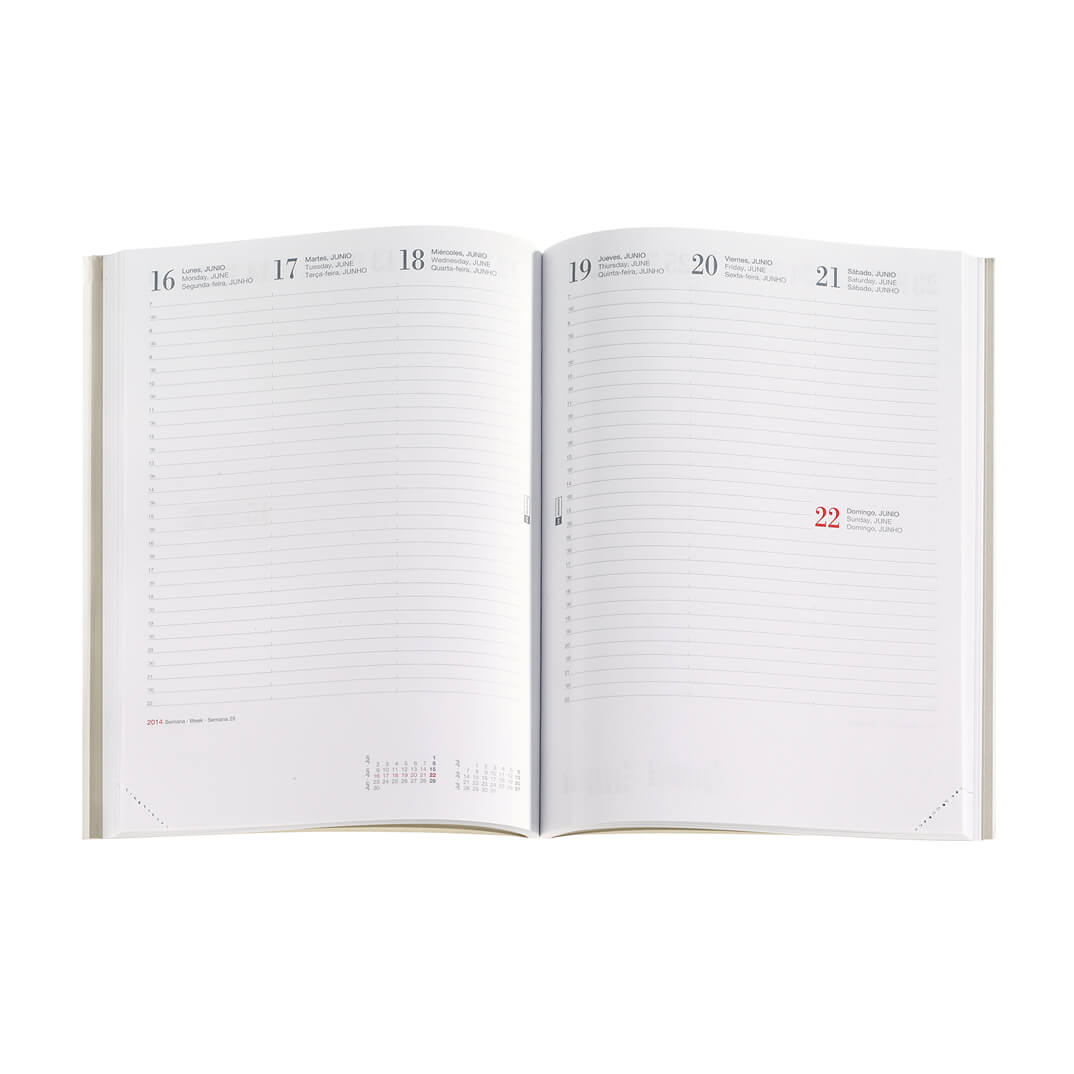 Recanvi agenda Miquelrius 1/4 anualitat S/V Cast