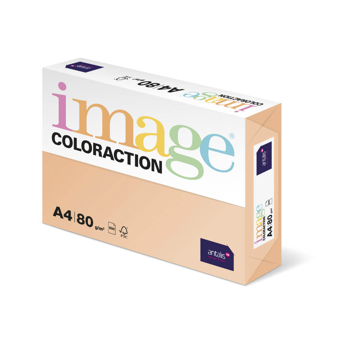 Paquete papel A4 80g salmón savana SA24