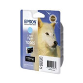 Epson cartucho cian claro R2880