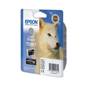 Epson cartutx gris R2880
